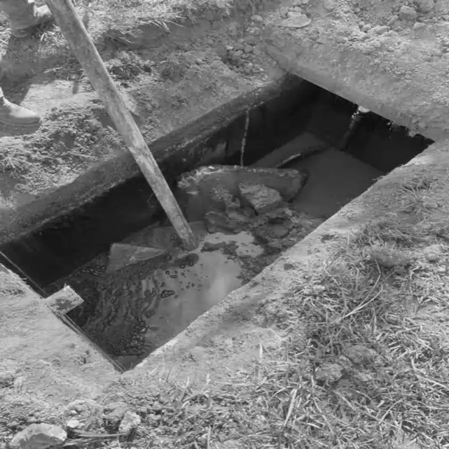 Septic Learning Center guide: septic tank access chamber opened for a pumping visit